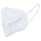 Skyddsmask Biovisor med resårband FFP2 - 10 st